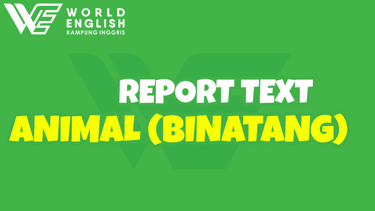 report text tentang animals